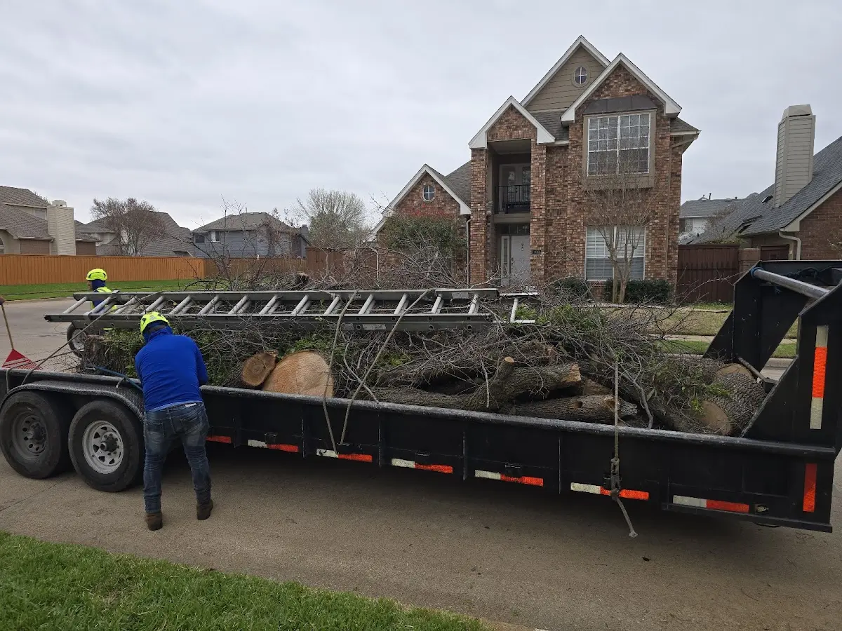 Expert Lot Clearing with proper safety equipment in Lufkin